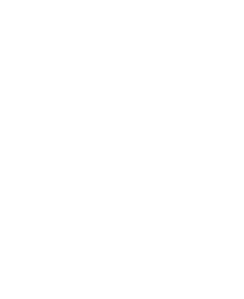 Dark Legion Logo